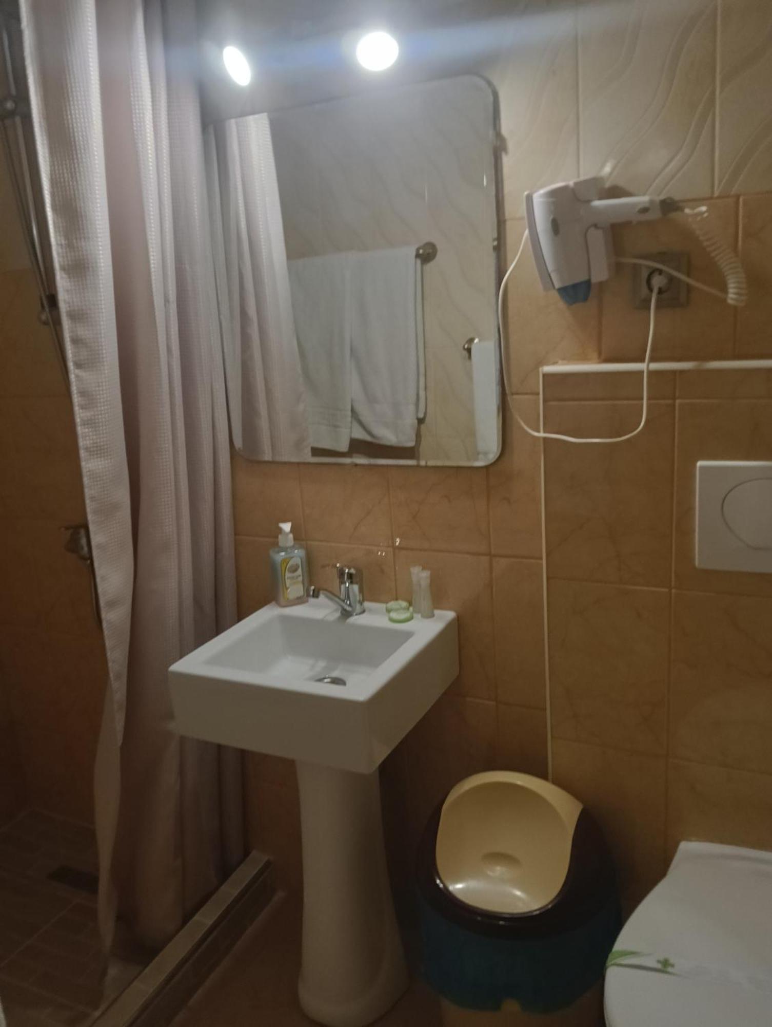 Casa Heidi Ξενοδοχείο Τιμισοάρα Δωμάτιο φωτογραφία